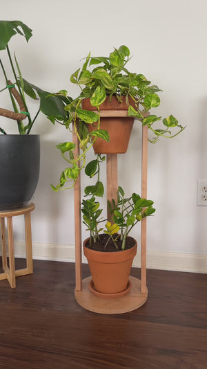 The CC Plant Stand