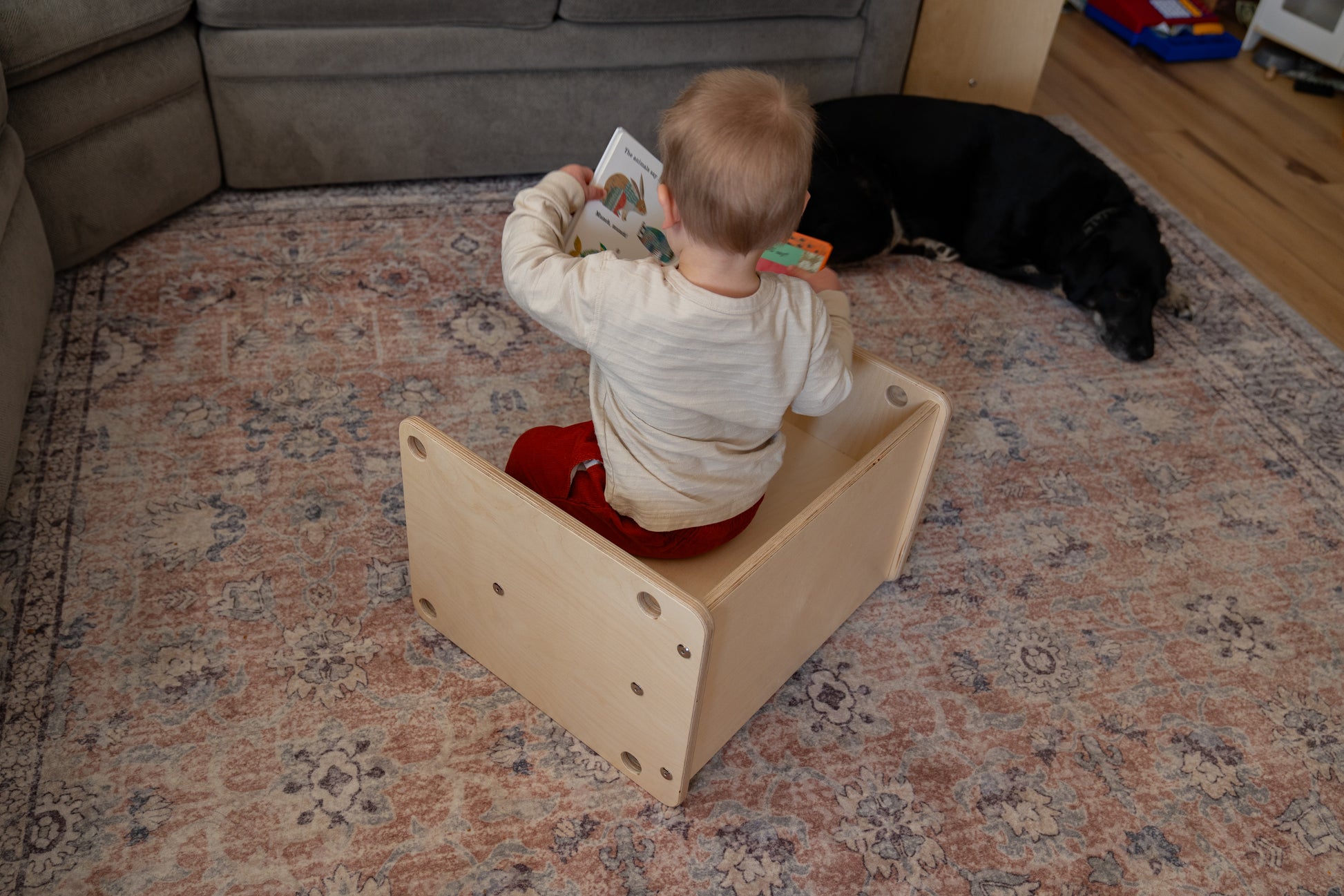 Child sitting on a wooden chair reading a book in a living room with a dog lying on the floor.